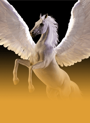 Divine Fortune Black